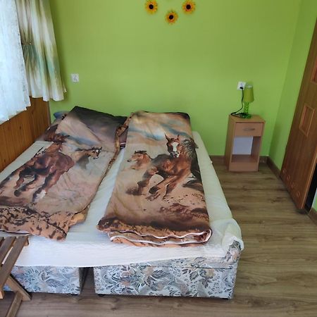 Iza-Pokoje Do Wynajecia Wisełka Exterior foto